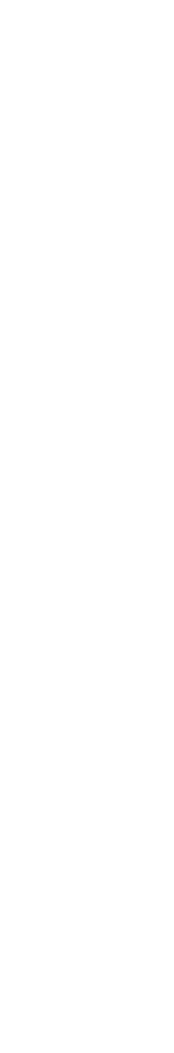 シャルマンオブジェクト